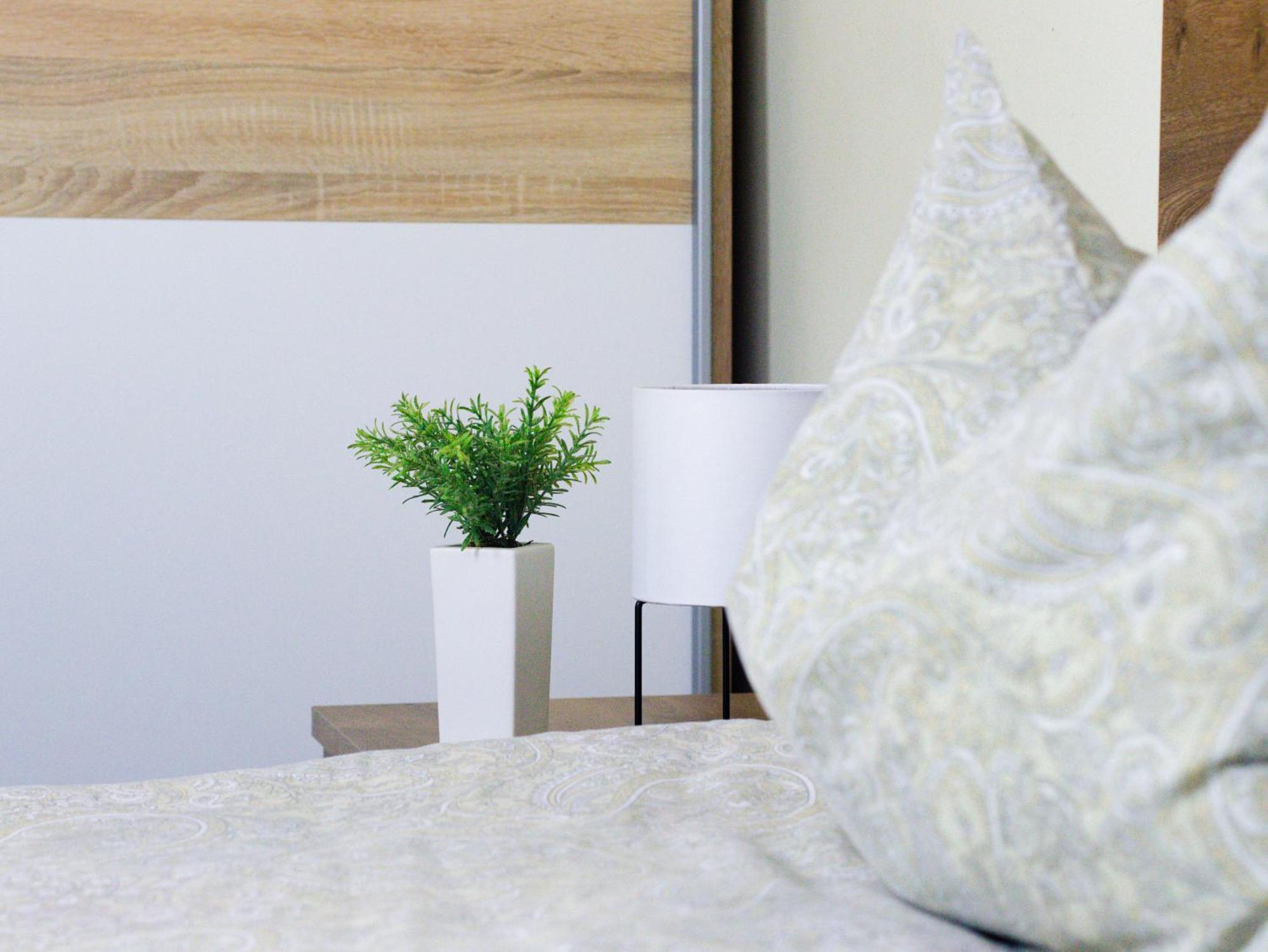 Best Apartment Central Hunedoara Ngoại thất bức ảnh